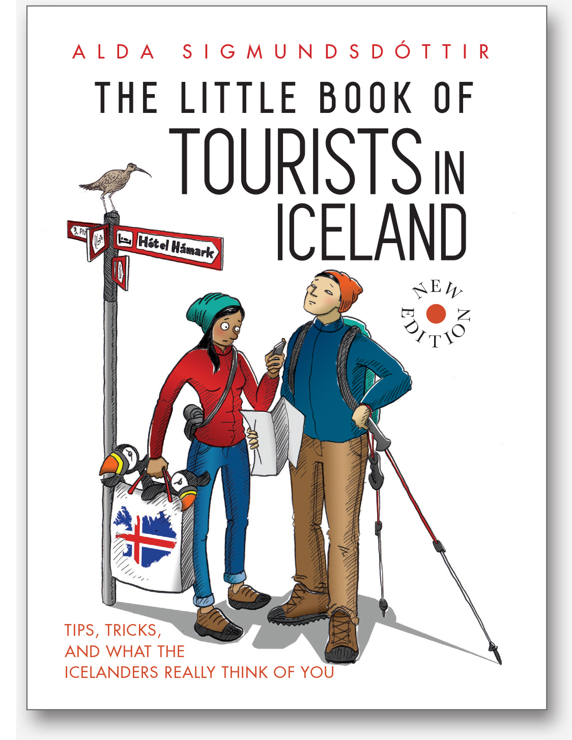 Book cover of The Little Book of Tourists in Iceland