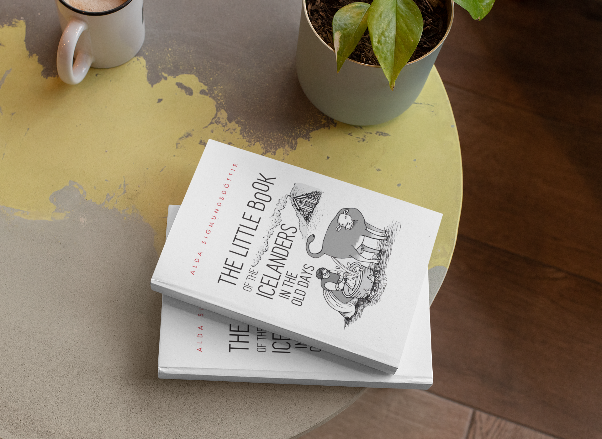 Two copies of The Little Book of the Icelanders in the Old Days lying on a table next to a plant